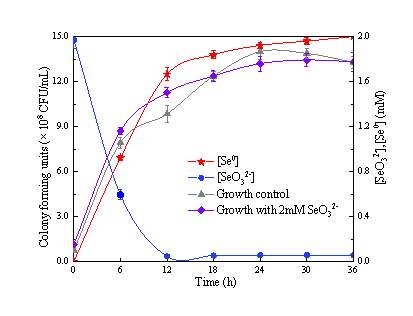 1B24 1B24